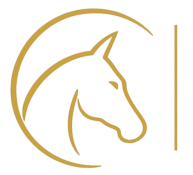 Pferdemarketing by Kine Equus Marketing