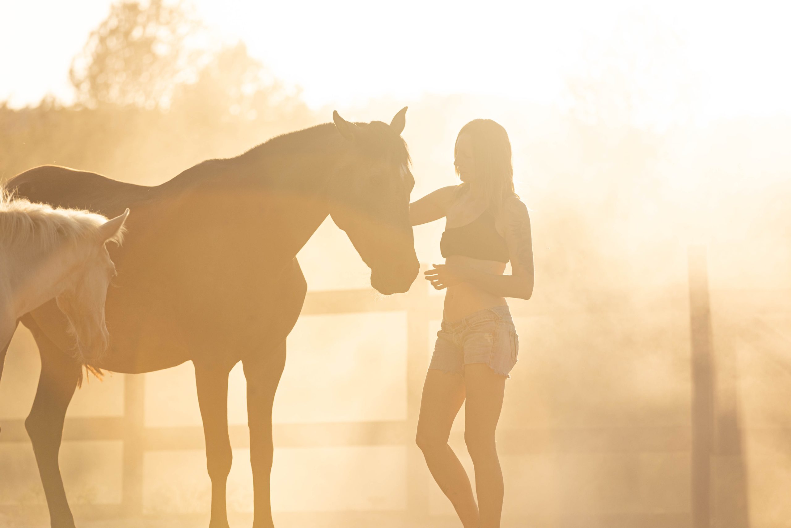 Frau mit Pferd und Pony im warmen Abendlicht – authentische Fotografie aus der Pferdebranche